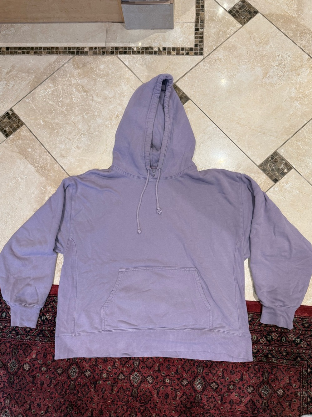 Aritzia TNA Cozy Fleece Lavender Boyfriend Pullover Hoodie Sweatshirt